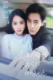 丧偶式婚姻后我成了他的朱砂痣