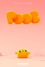 POOB