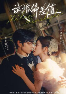 试婚偏差值