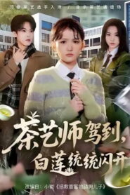 茶艺师驾到，白莲统统闪开