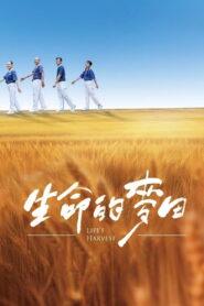 Life’s Harvest
