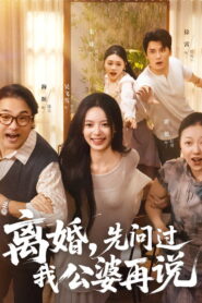 离婚，先问过我公婆再说