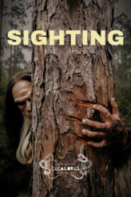 Sighting