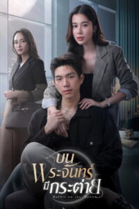 Rabbit on the Moon: Season 1