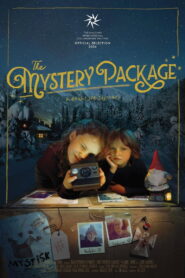 The Mystery Package