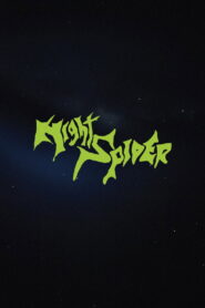 Night Spider