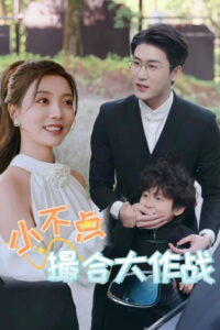 小不点撮合大作战: Season 1