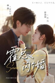 霍总，闪个婚
