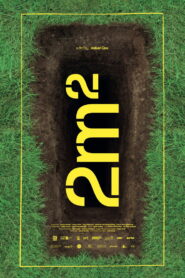 2m²