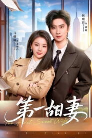 第一甜妻
