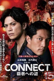 CONNECT: Road to Conquest 15