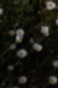 25 aprile