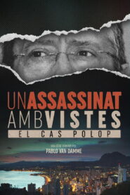 Un assassinat amb vistes