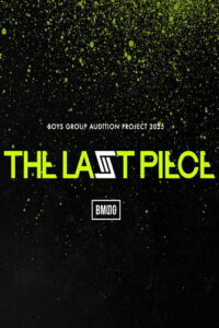 THE LAST PIECE
