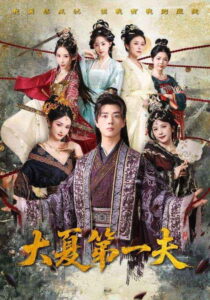 大夏第一夫: Season 1