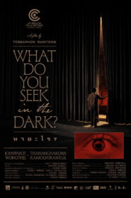What Do You Seek in the Dark?