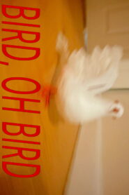 Bird, Oh Bird