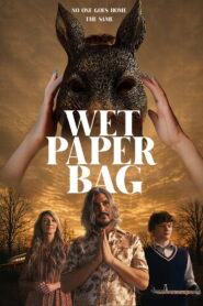 Wet Paper Bag