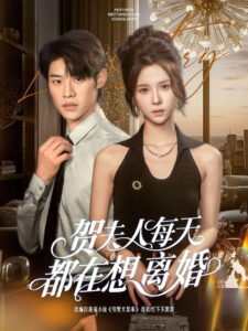 贺夫人每天都在想离婚: Season 1