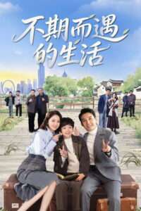 Life Optimal Solution: Season 1