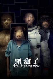 The Black Box