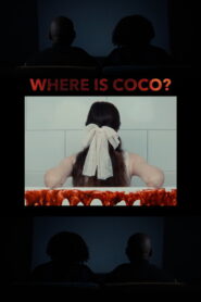 Where is Coco?