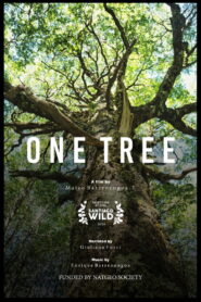 Un Árbol