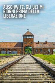 Auschwitz: Countdown to Liberation