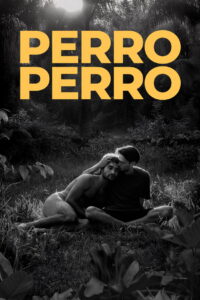 Perro perro