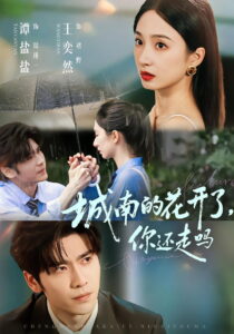 城南的花开了，你还走吗: Season 1