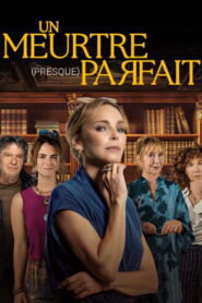 Un meurtre (presque) parfait