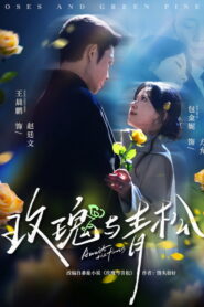 玫瑰与青松
