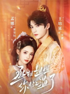 丞相姐姐你又红温了: Season 1
