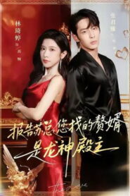 报告苏总，您找的赘婿是龙神殿主