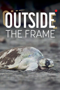 Outside The Frame