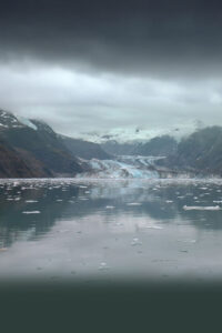 Alaskan Shorts