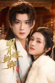 明月嫁卿卿
