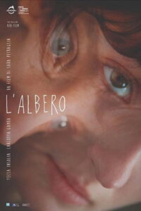 L’albero