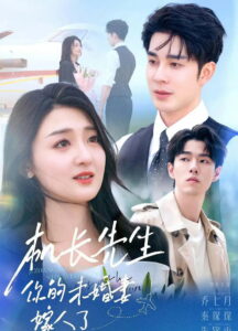 机长先生，你的未婚妻嫁人了: Season 1