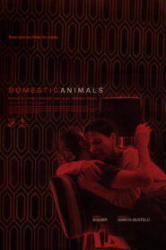 Domestic Animals