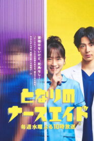Nursing Aide at Your Side SP