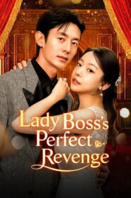 Lady Boss’s Perfect Revenge