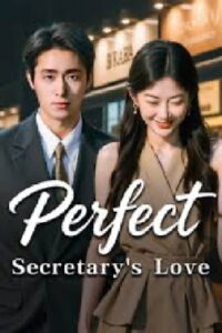 Perfect Secretary’s Love