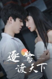 逐鹭渡天下