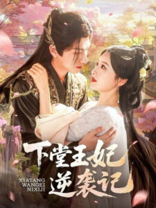 下堂王妃逆袭记: Season 1