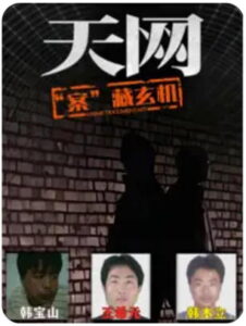 天网：罪案纪实: Season 5