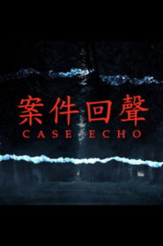 案件回聲