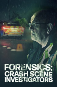Forensics: Crash Scene Investigation