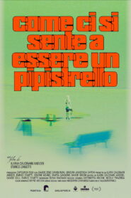 Come ci si sente a essere un pipistrello