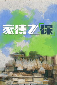 家傳之「保」: Season 1